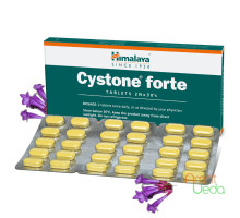 Cystone Forte, 60 tabletek