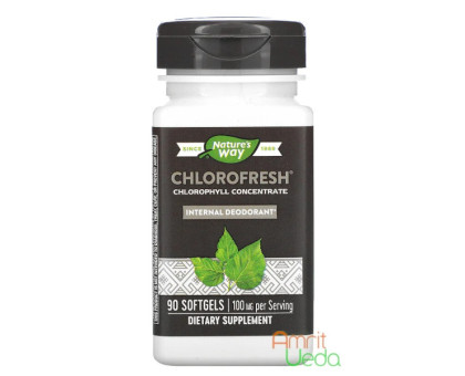 Chlorofresh - сhlorophyll сoncentrate Nature's Way, 90 softgels