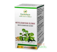 Phytolifton plus, 90 tabletek