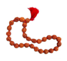 Rudraksha bracelet large, 27 beads