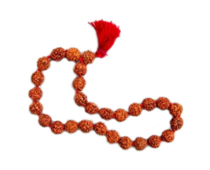 Rudraksha bracelet large, 27 beads